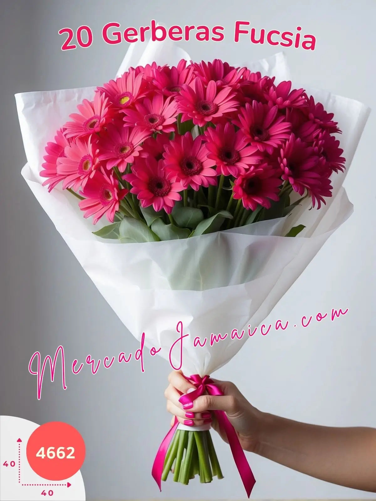 Ramo 20 Gerberas Fucsia a Domicilio CDMX
