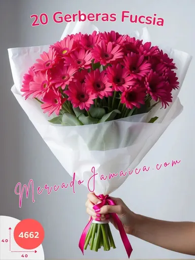 Producto