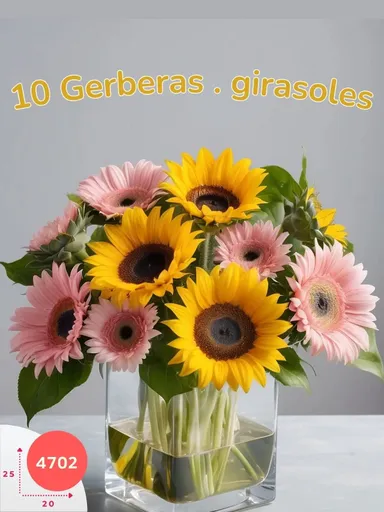 Vista alternativa
