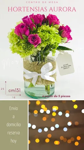 Producto