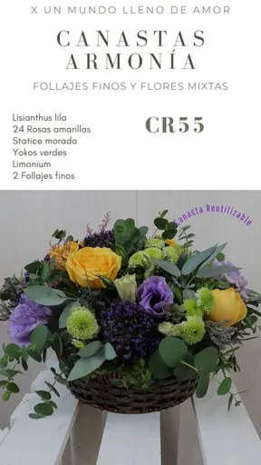 Vista alternativa