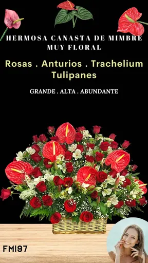 Producto