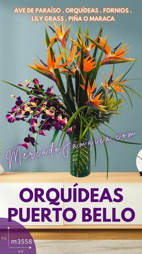 Producto