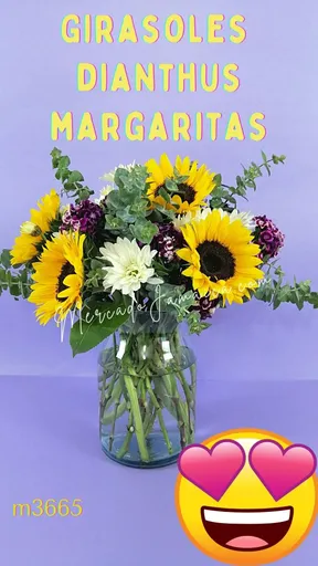 Producto