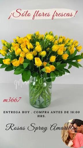 Producto