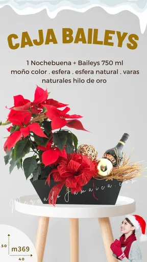Producto