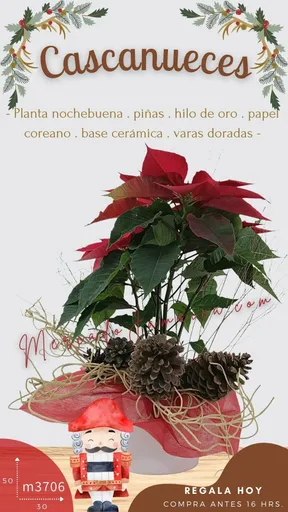 Producto