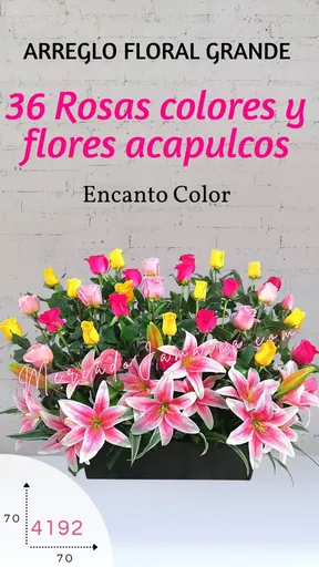 Producto