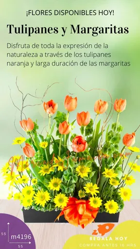 Producto