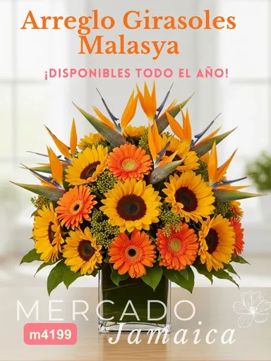 Producto