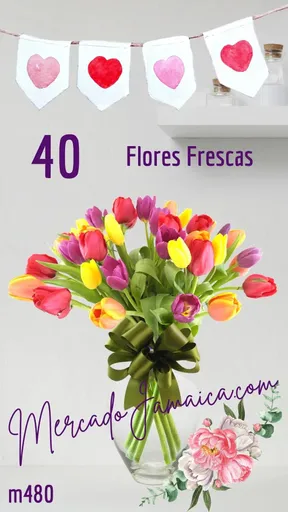 Producto