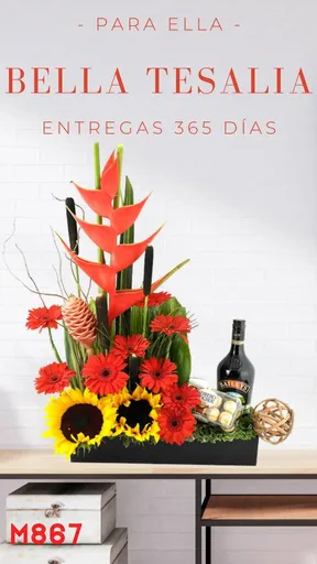 Producto