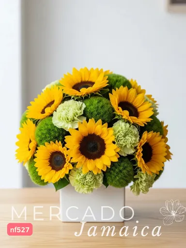 Vista alternativa