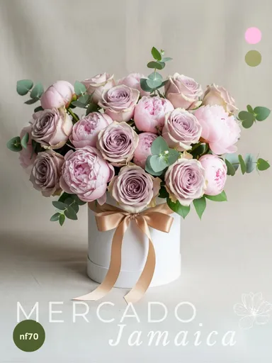 Producto