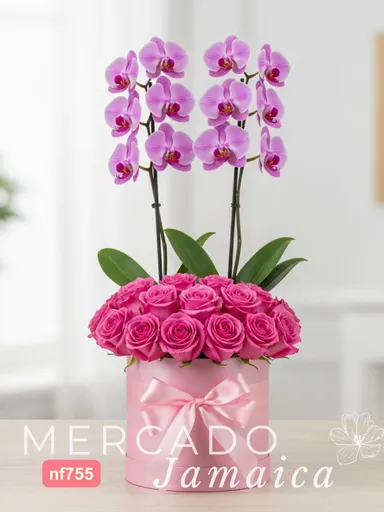 Producto
