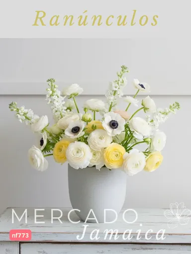 Producto