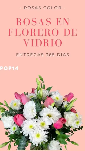 Vista alternativa