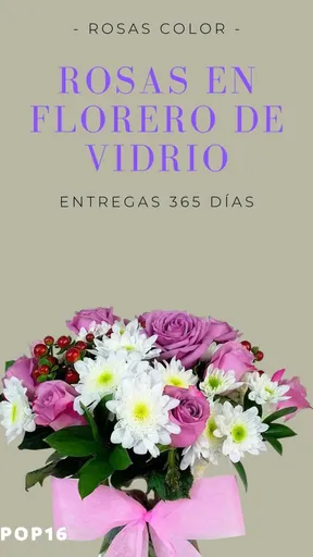 Vista alternativa