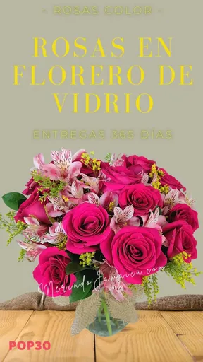 Vista alternativa