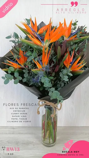 Producto