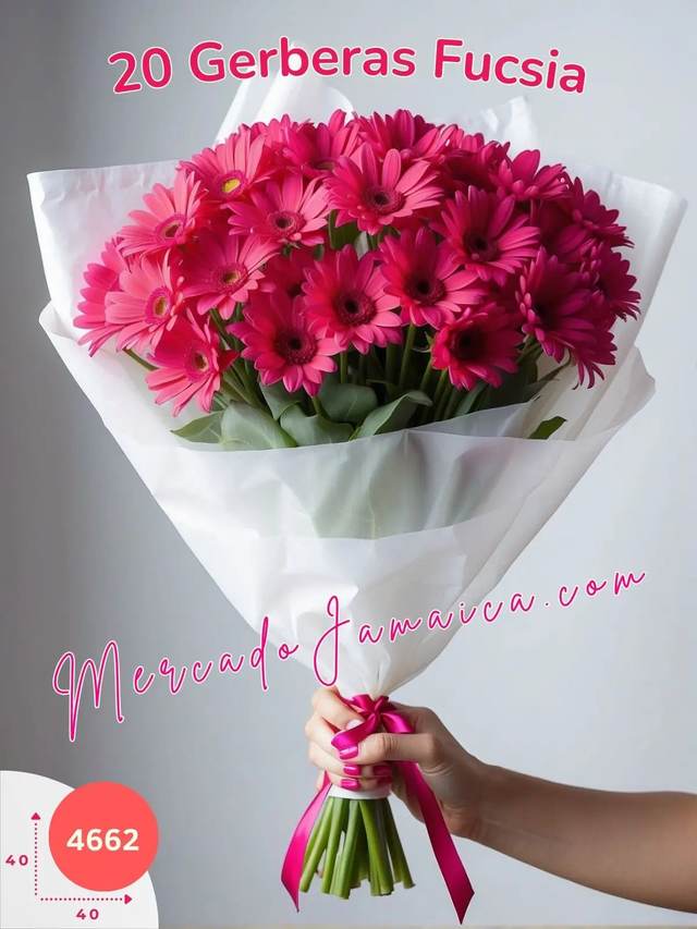 Producto