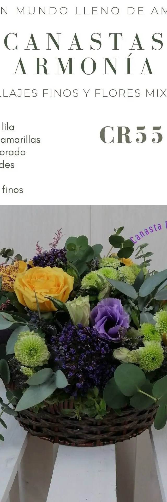 Vista alternativa