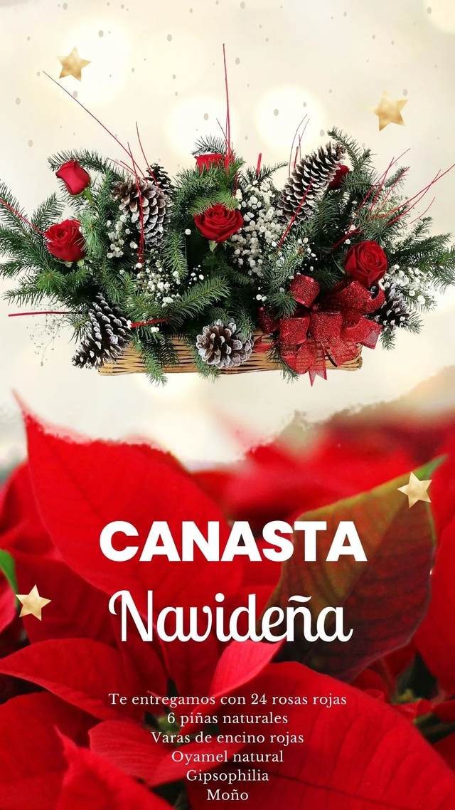 Vista alternativa