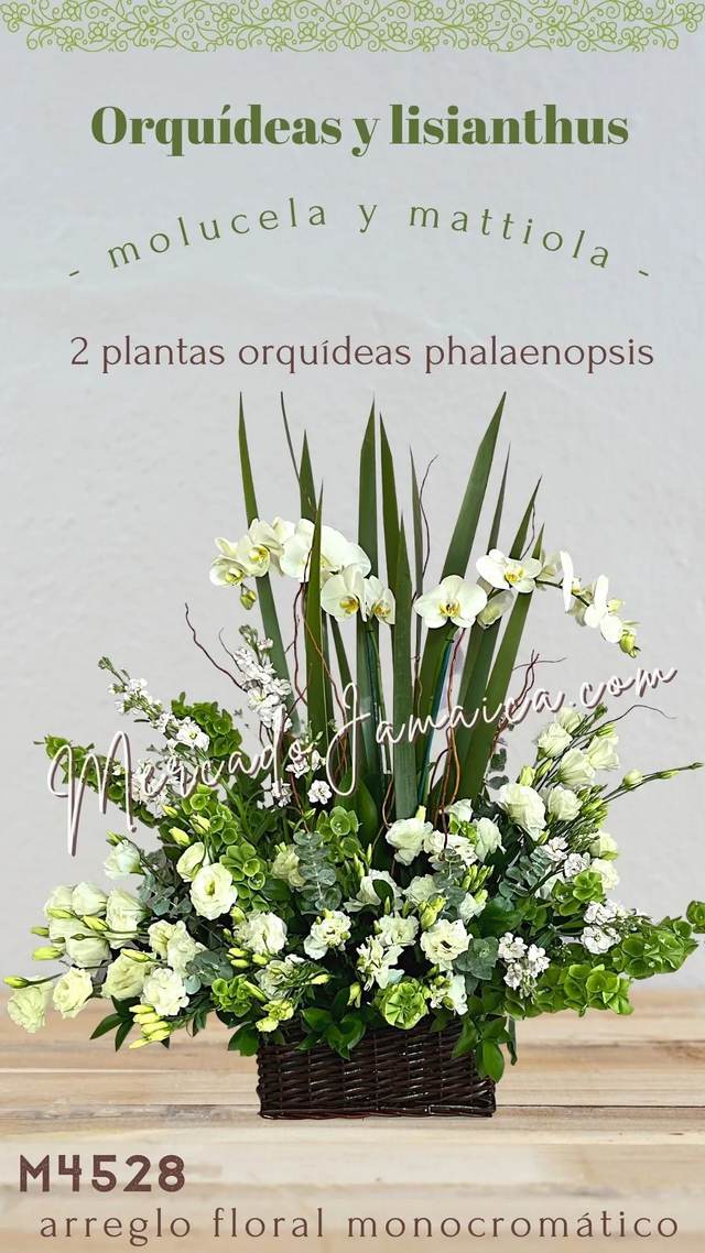 Producto