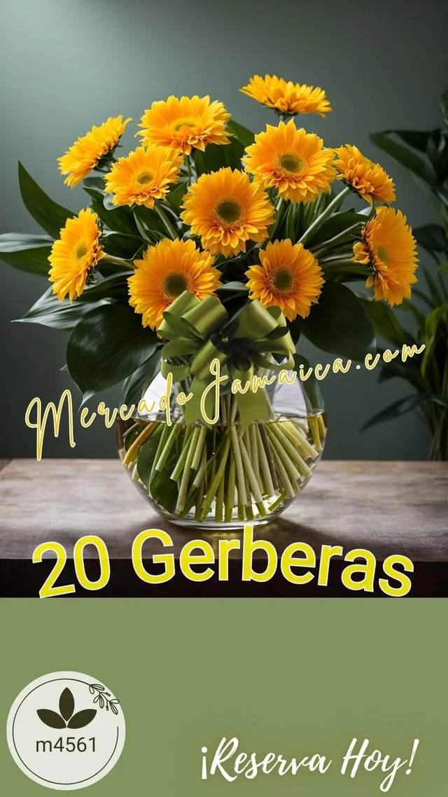 Vista alternativa