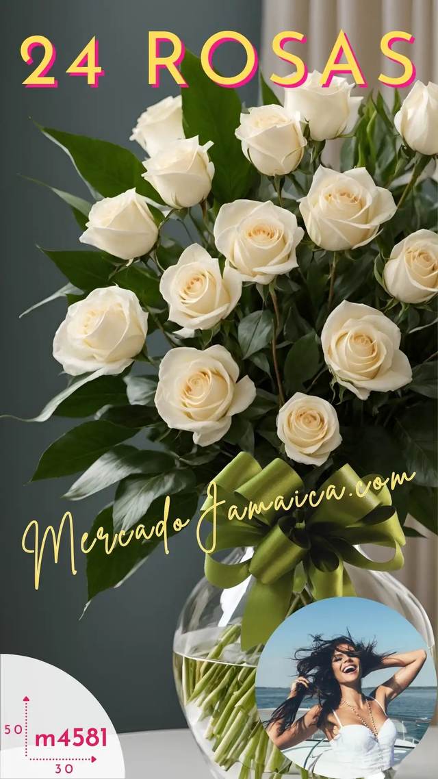 Vista alternativa