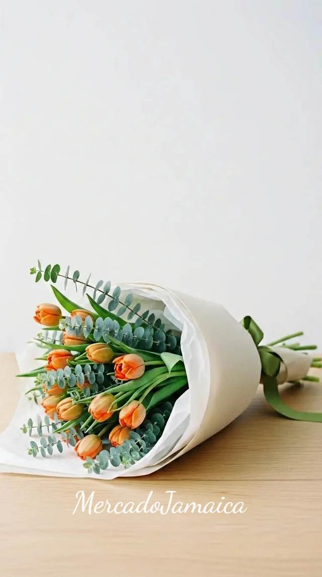 Vista alternativa