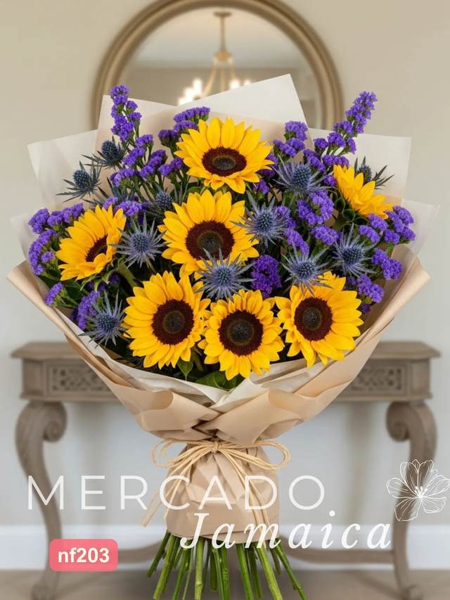 Vista alternativa