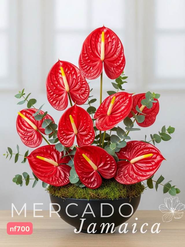 Producto