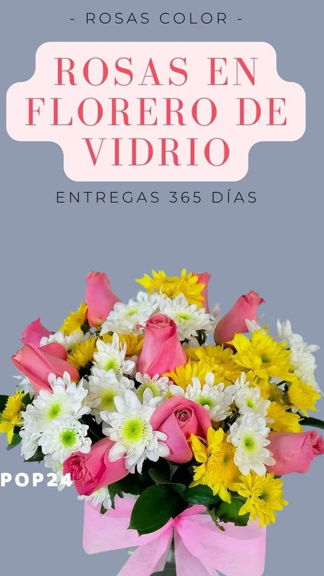 Vista alternativa