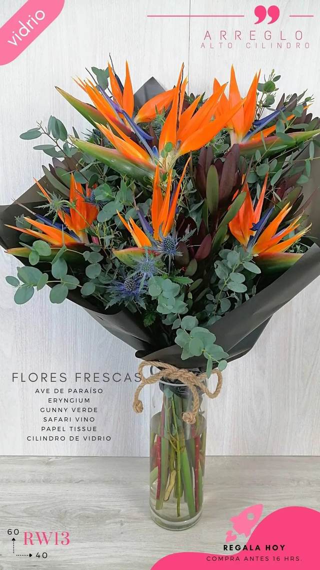 Producto