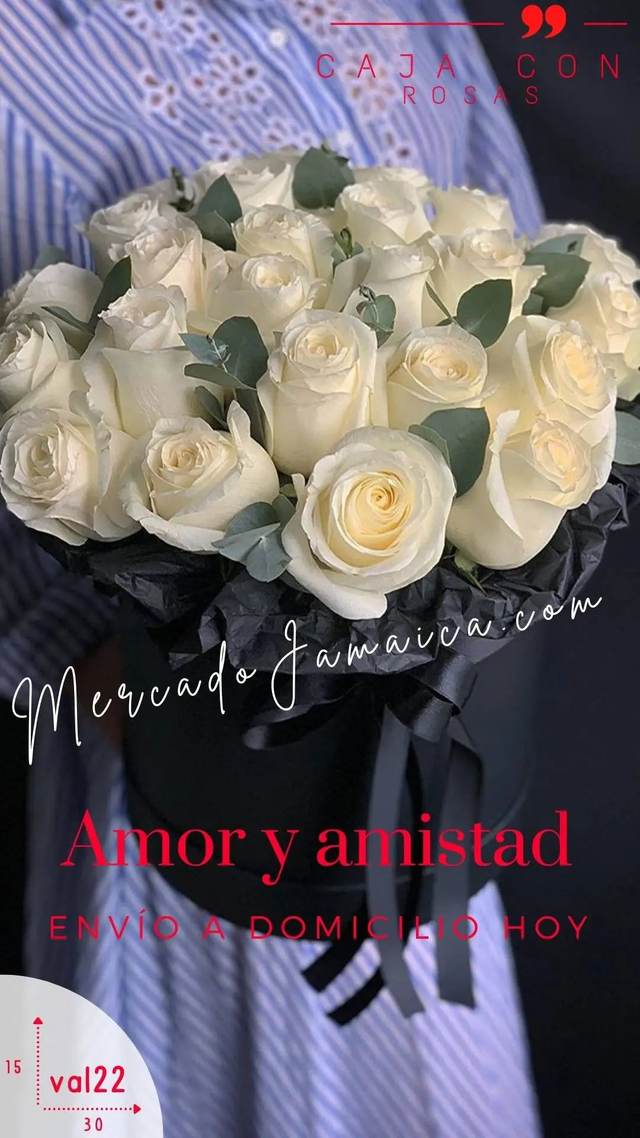Producto